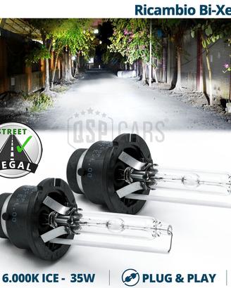 Lampadine XENON D2S per Renault VEL SATIS 6000K HI