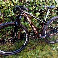 229 Er Carbon BOOST tg S ruote carbon 