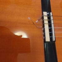 Chitarra classica Zambra