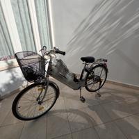 bici elettrica frisbee