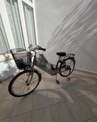 bici elettrica frisbee