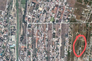 Terreno agricolo con 8 alberi di ulivo