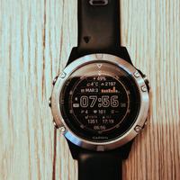 Garmin Fenix 5