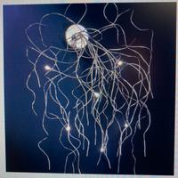 Lampadario e applique