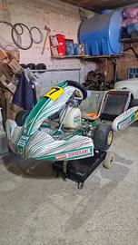 Tony kart 401 rr  125 kz 10c 2023