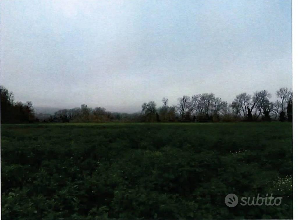 Immobile in asta di 70800 m² a Orte - Vista 4