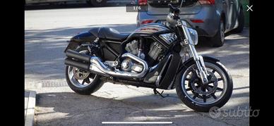 Harley Davidson 1130 Street Rod VRSCR