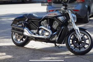 Harley Davidson 1130 Street Rod VRSCR