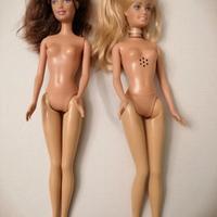 lotto barbie 'la principessa e la povera' 