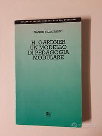 Pedagogia libro Gardner