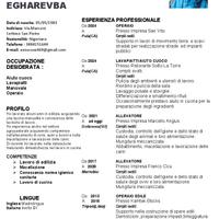 Lavapiatti - Manovale - aiuto cuoco