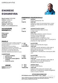 Lavapiatti - Manovale - aiuto cuoco