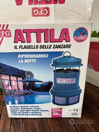 Attila acchiappa insetti