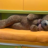 orso peluche gigante