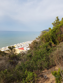 Caravan circense S. Margherita Pula