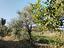 Immagine 17