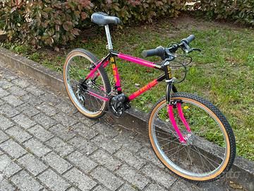 Bicicletta MTB Huni revisionata