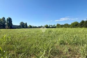 TER. AGRICOLO A SELVAZZANO DENTRO