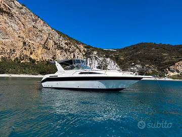 Sea ray sundancer 29