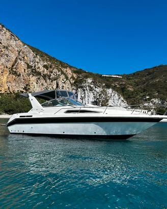 Sea ray sundancer 29