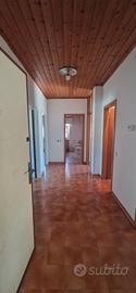 Grande Appartamento Rovereto