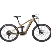 eMTBIKE