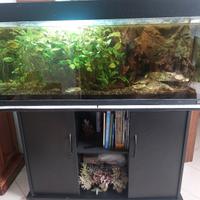Acquario Juwel 250L netti