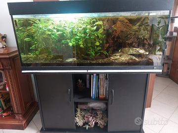 Acquario Juwel 250L netti