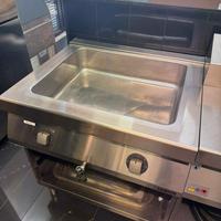 Bagnomaria Elettrico Professionale Zanussi