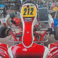 Birel art