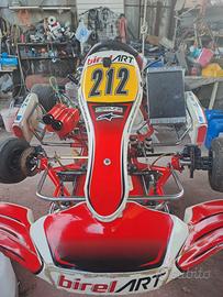 Birel art