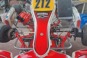 Birel art