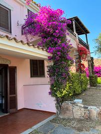 Budoni Residence Colle Maiorca