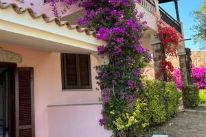 Budoni Residence Colle Maiorca