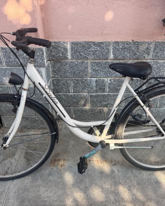 Bicicletta da donna