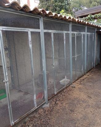 Gabbia a scompartimenti