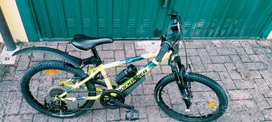 Mountand bike da bambino
