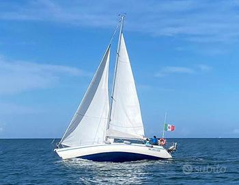 Raro VCAT 38 "gattone" Vallicelli '83