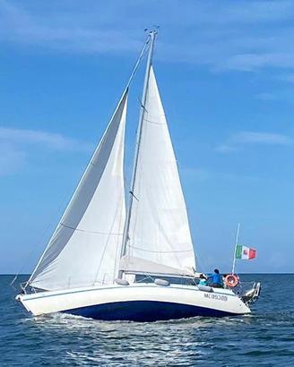 Raro VCAT 38 "gattone" Vallicelli '83