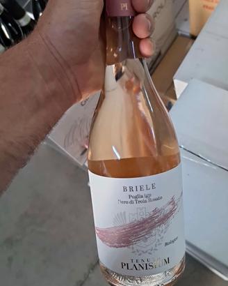 Rosato Briele