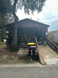 Attivita' fioraio cimitero comunale vada