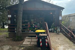 Attivita' fioraio cimitero comunale vada