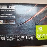 GeForce GT 710 scheda graffica DirectX 12