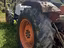 Immagine 6