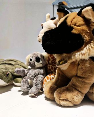 Peluches vari