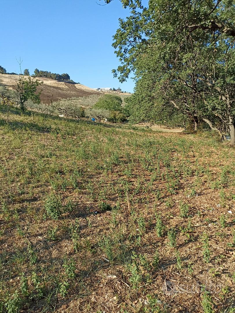 Terreno agricolo - Vista 3