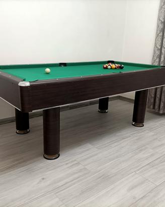 biliardo professionale