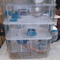 Gabbia per criceti