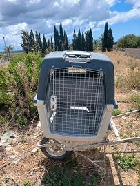 trasportino cani