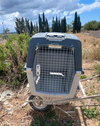 trasportino cani